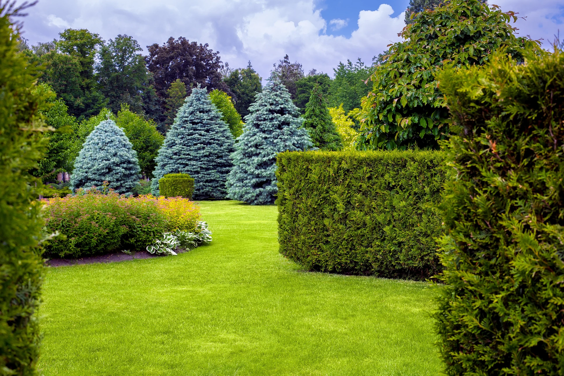 Jardin paysager extérieur avec pelouse verte parfaitement entretenue, haies taillées géométriques, conifères bleus ornementaux, massifs floraux colorés et arbustes variés sous ciel nuageux