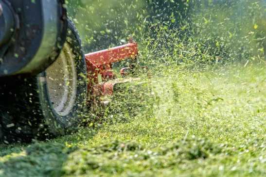 Scène extérieure de tonte de pelouse avec projection intense d'herbe coupée et débris végétaux