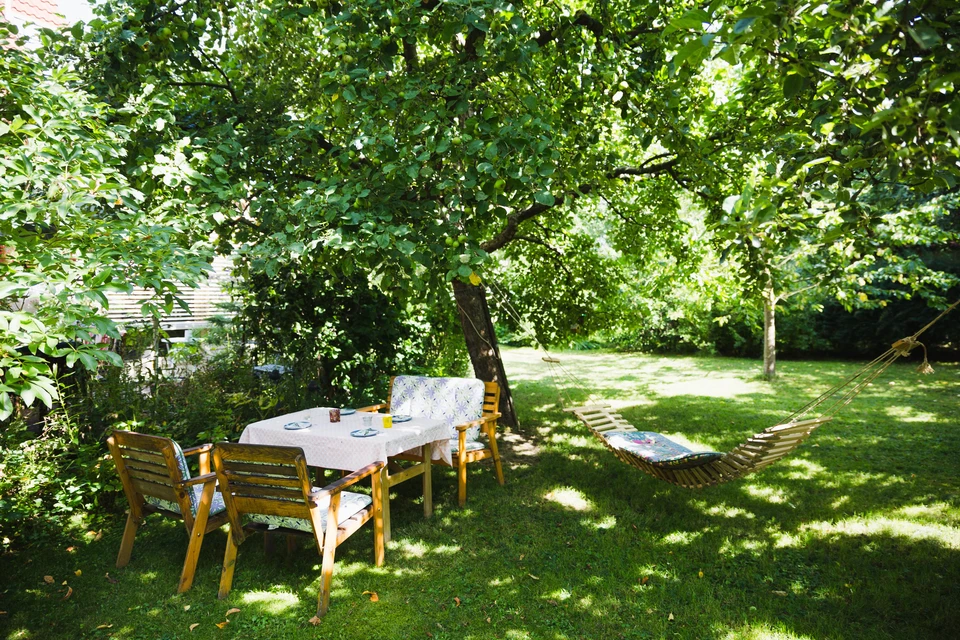 Jardin privé avec salon de jardin en bois naturel disposé sous un grand arbre feuillu