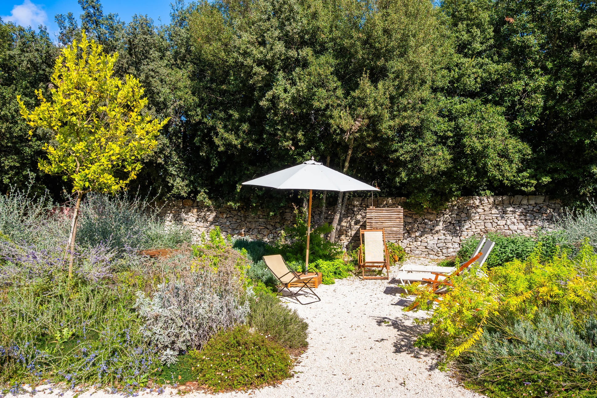 Jardin paysager avec escalier en pierre naturelle, fontaine décorative et massifs floraux colorés