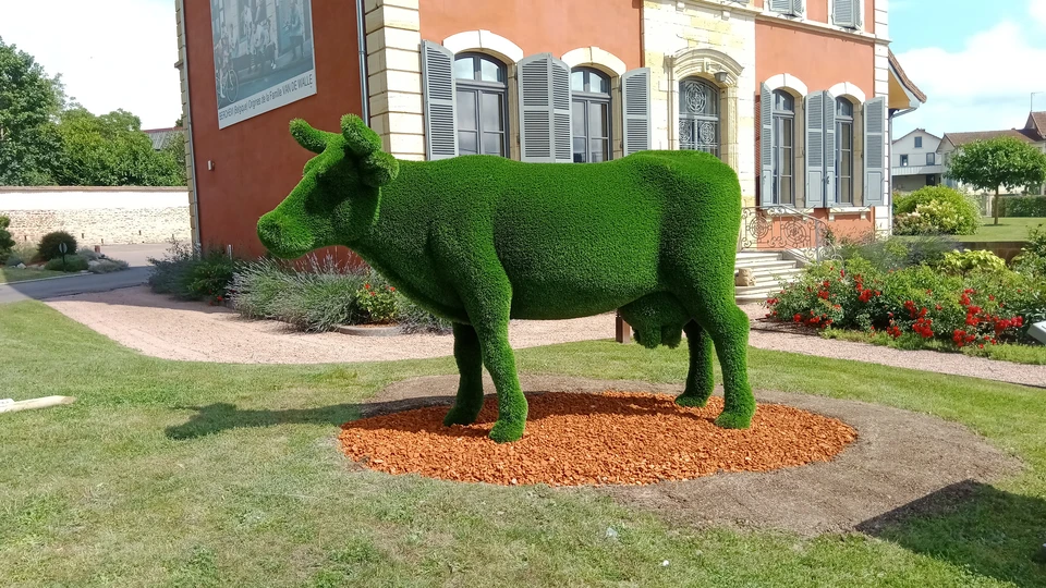 Jardin paysager en terrasses avec parterres de fleurs colorées disposés en motifs géométriques, allées courbes pavées, pelouses entretenues et arbustes taillés